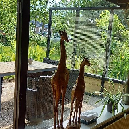 Natuurhuisje Eartswoud Aartswoud エクステリア 写真