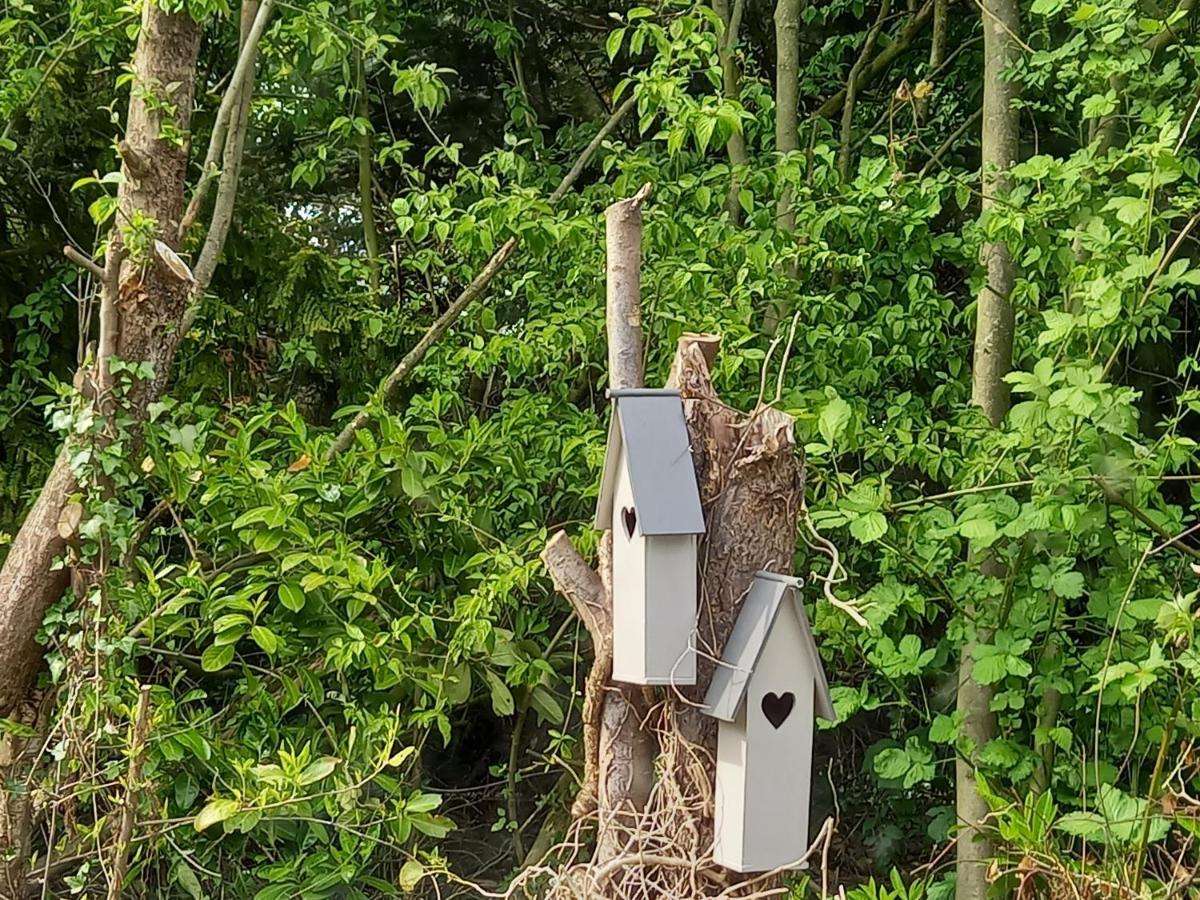 Natuurhuisje Eartswoud Aartswoud エクステリア 写真