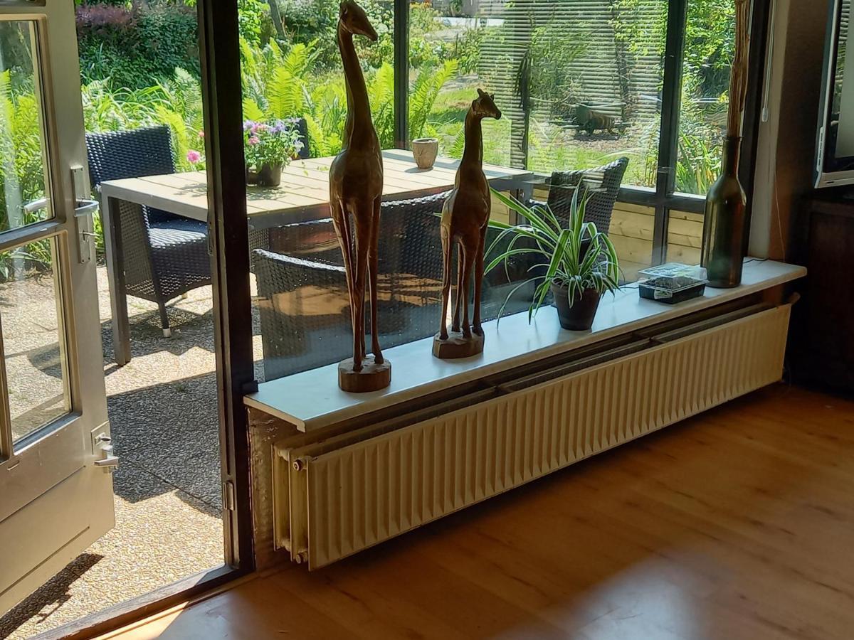 Natuurhuisje Eartswoud Aartswoud エクステリア 写真